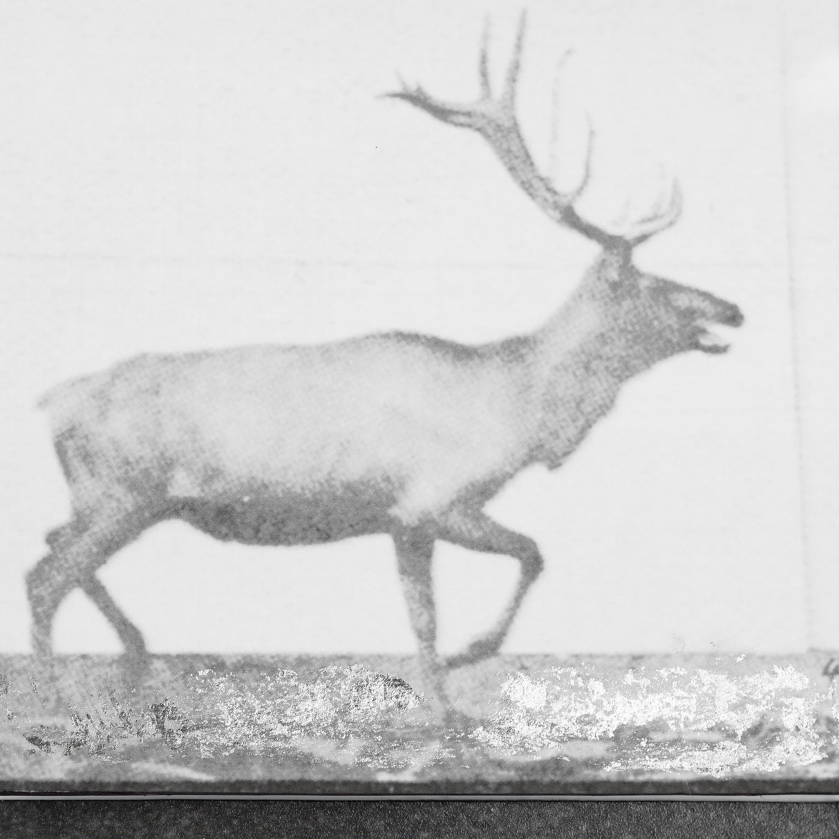 Elk Trotting by Eadweard Muybridge a Hand Embellished Textured Framed Art Print Matted under Glass from Mercana - Luna Furniture
