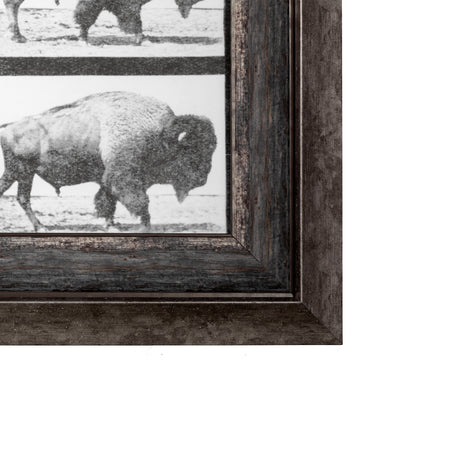Buffalo Walking by Eadweard Muybridge Hand Embellished Textured Framed Art Print Matted under Glass from Mercana - Luna Furniture