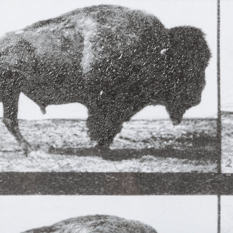 Buffalo Walking by Eadweard Muybridge Hand Embellished Textured Framed Art Print Matted under Glass from Mercana - Luna Furniture