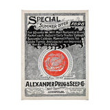 Antique Seed Packet XIIII by Mercana Studio a Hand Embellished Textured Canvas from Mercana - Luna Furniture