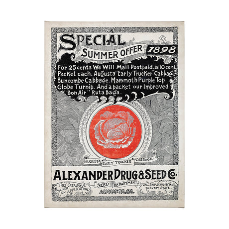 Antique Seed Packet XIIII by Mercana Studio a Hand Embellished Textured Canvas from Mercana - Luna Furniture