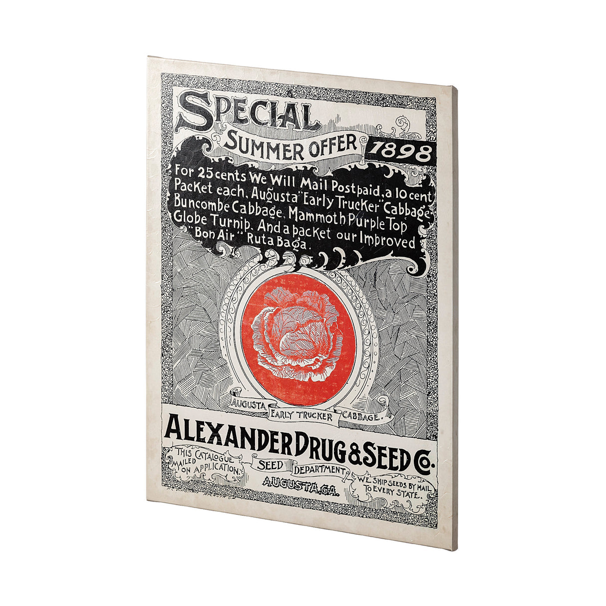 Antique Seed Packet XIIII by Mercana Studio a Hand Embellished Textured Canvas from Mercana - Luna Furniture