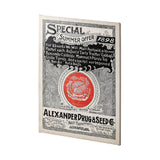 Antique Seed Packet XIIII by Mercana Studio a Hand Embellished Textured Canvas from Mercana - Luna Furniture