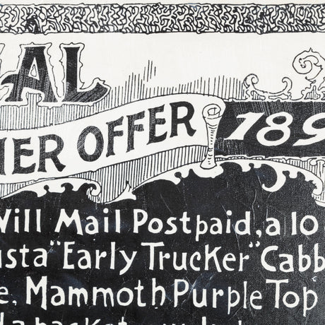 Antique Seed Packet XIIII by Mercana Studio a Hand Embellished Textured Canvas from Mercana - Luna Furniture