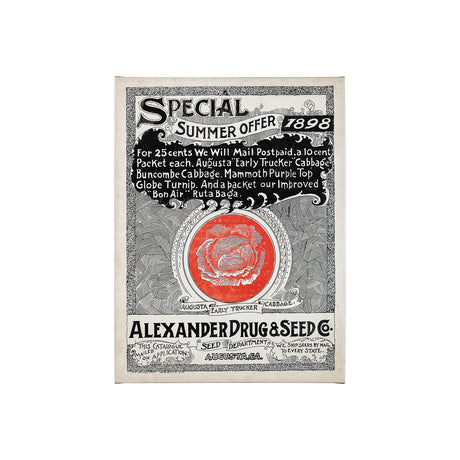 Antique Seed Packet XIIII by Mercana Studio a Hand Embellished Textured Canvas from Mercana - Luna Furniture