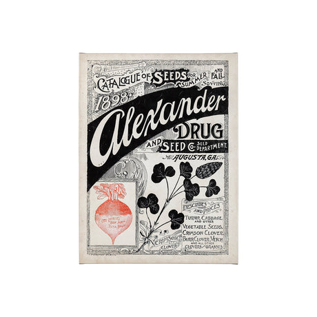 Antique Seed Packet XIV by Mercana Studio a Hand Embellished Textured Canvas from Mercana - Luna Furniture
