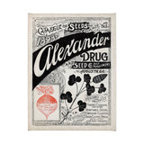 Antique Seed Packet XIV by Mercana Studio a Hand Embellished Textured Canvas from Mercana - Luna Furniture