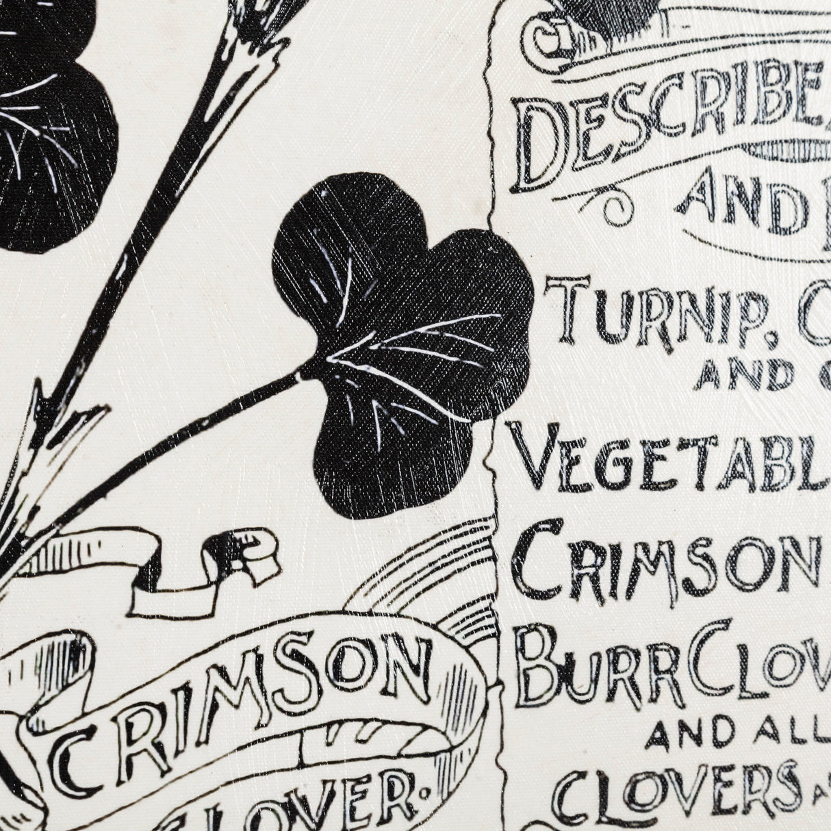 Antique Seed Packet XIV by Mercana Studio a Hand Embellished Textured Canvas from Mercana - Luna Furniture