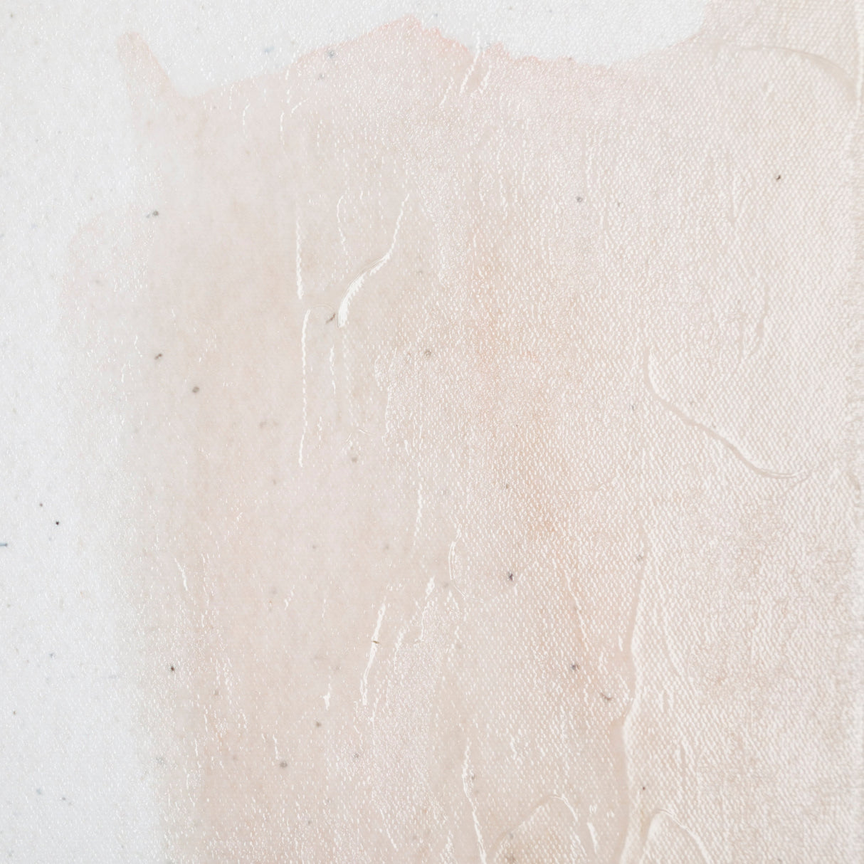 Masque I by Victoria Barnes a Hand Embellished Textured Canvas from Mercana - Luna Furniture