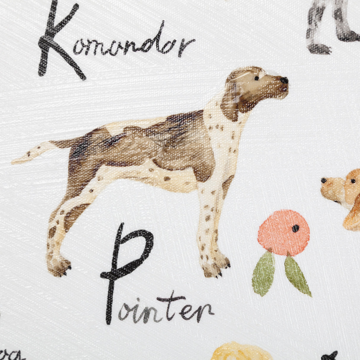 Dog Alphabet by Melissa Wang a Hand Embellished Textured Canvas from Mercana - Luna Furniture