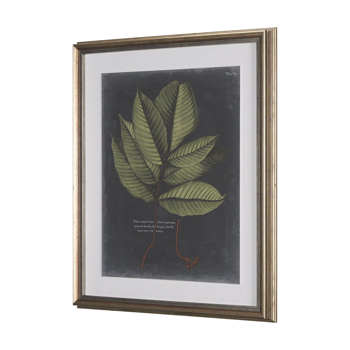 Foliage Dramatique III by Vision Studio Hand Embellished Textured Framed Art Print Matted under Glas from Mercana - Luna Furniture