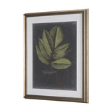 Foliage Dramatique III by Vision Studio Hand Embellished Textured Framed Art Print Matted under Glas from Mercana - Luna Furniture