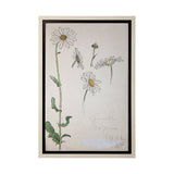 Blom Ritning by John Bauer a Hand Embellished Textured Framed Art Print Matted under Glass from Mercana - Luna Furniture