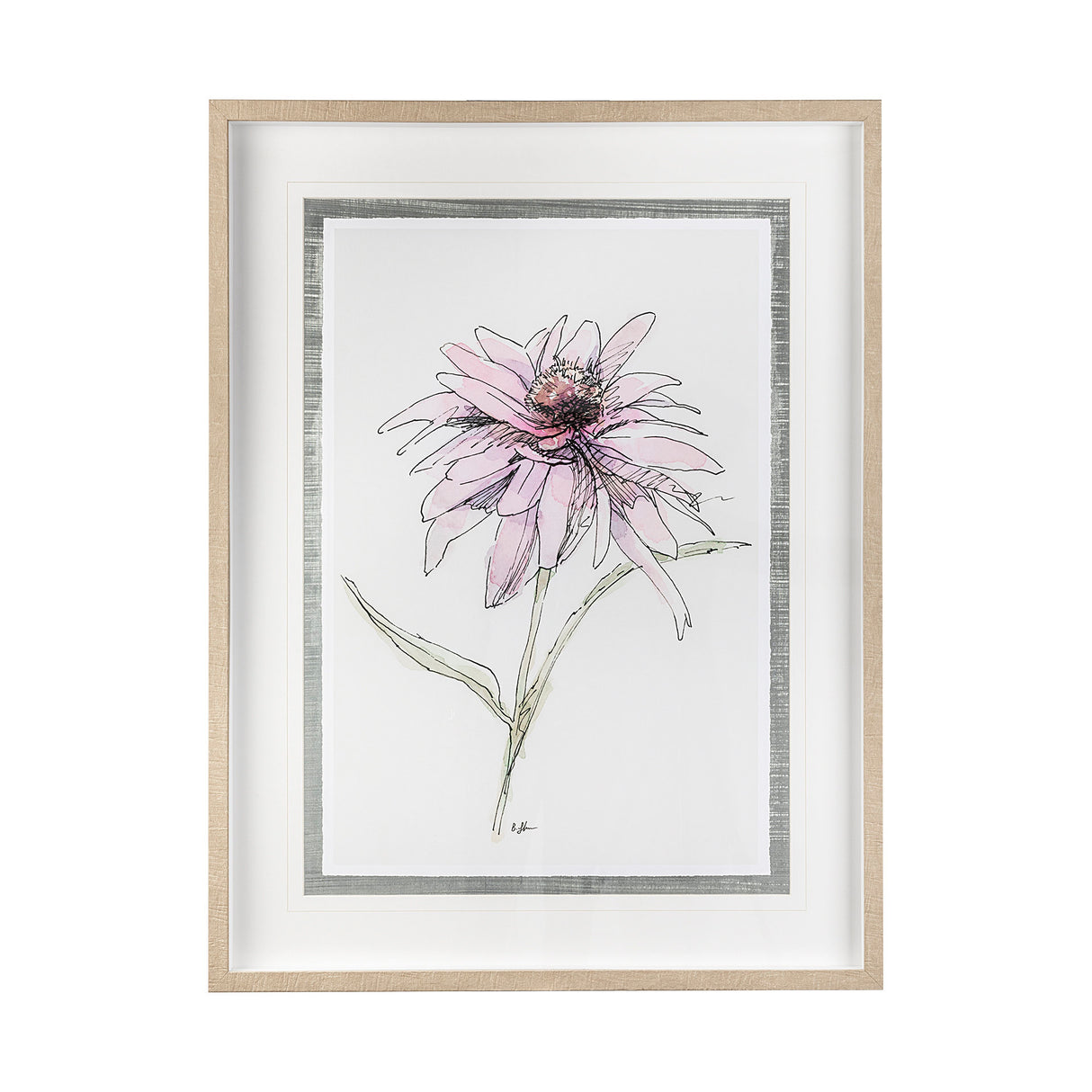 Echinacea I by Panpan Zhang a Framed Art Print Matted under Glass from Mercana - Luna Furniture