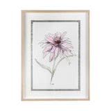 Echinacea I by Panpan Zhang a Framed Art Print Matted under Glass from Mercana - Luna Furniture