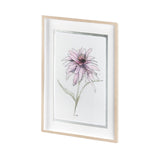 Echinacea I by Panpan Zhang a Framed Art Print Matted under Glass from Mercana - Luna Furniture