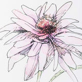 Echinacea I by Panpan Zhang a Framed Art Print Matted under Glass from Mercana - Luna Furniture
