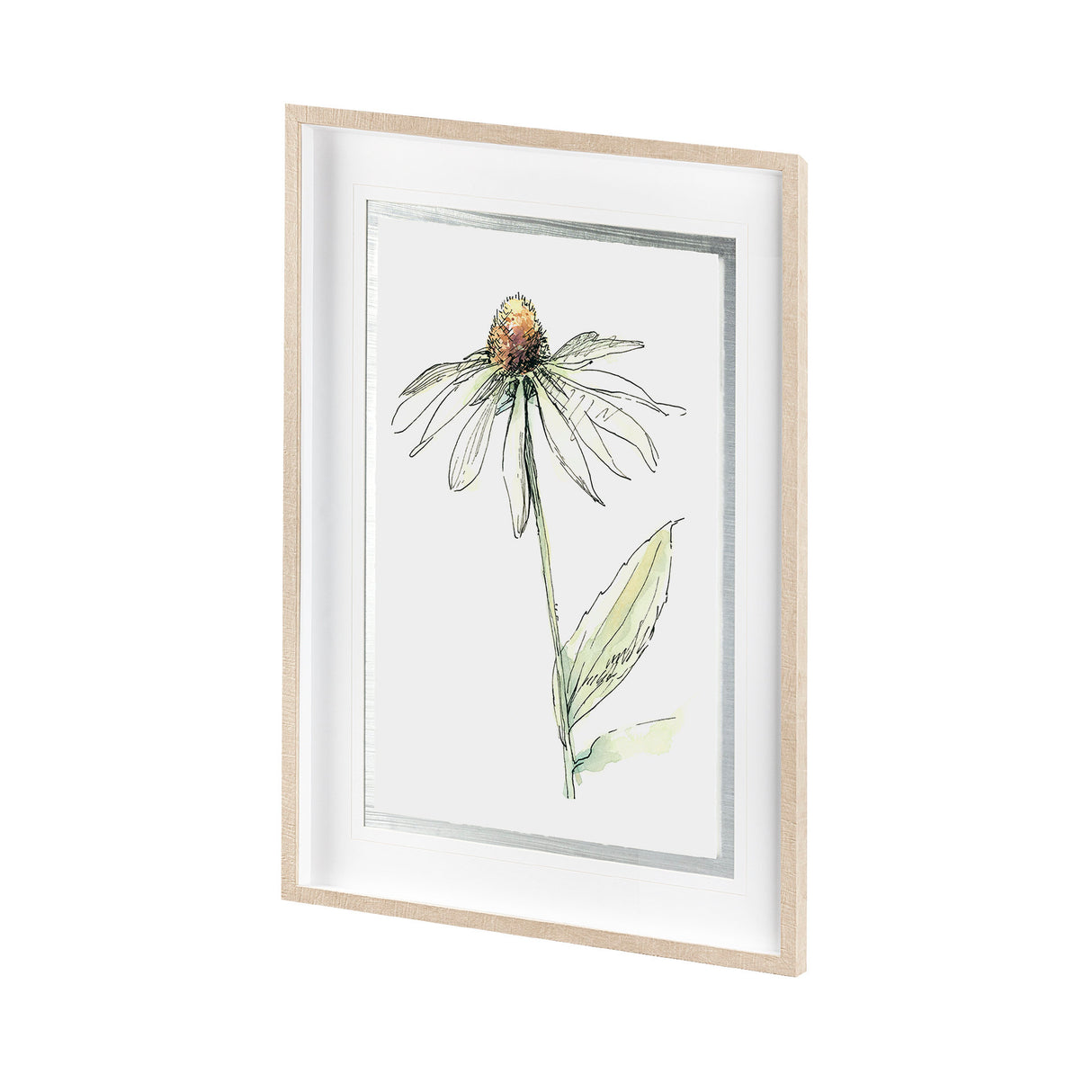 Echinacea II by Panpan Zhang a Framed Art Print Matted under Glass from Mercana - Luna Furniture