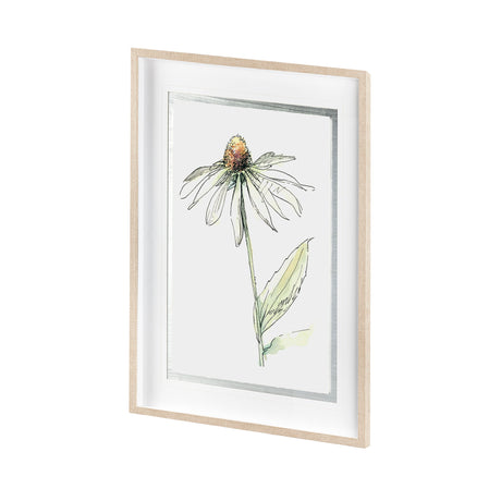Echinacea II by Panpan Zhang a Framed Art Print Matted under Glass from Mercana - Luna Furniture