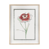 Dianthus I by Panpan Zhang a Framed Art Print Matted under Glass from Mercana - Luna Furniture