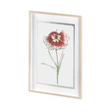 Dianthus I by Panpan Zhang a Framed Art Print Matted under Glass from Mercana - Luna Furniture