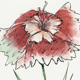 Dianthus I by Panpan Zhang a Framed Art Print Matted under Glass from Mercana - Luna Furniture