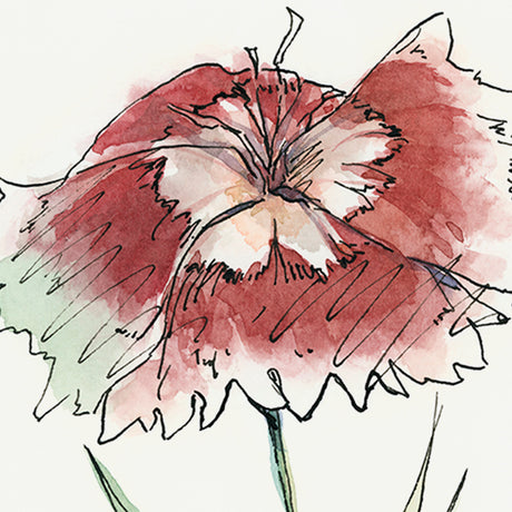 Dianthus I by Panpan Zhang a Framed Art Print Matted under Glass from Mercana - Luna Furniture