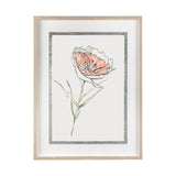 Dianthus II by Panpan Zhang a Framed Art Print Matted under Glass from Mercana - Luna Furniture