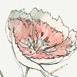 Dianthus II by Panpan Zhang a Framed Art Print Matted under Glass from Mercana - Luna Furniture