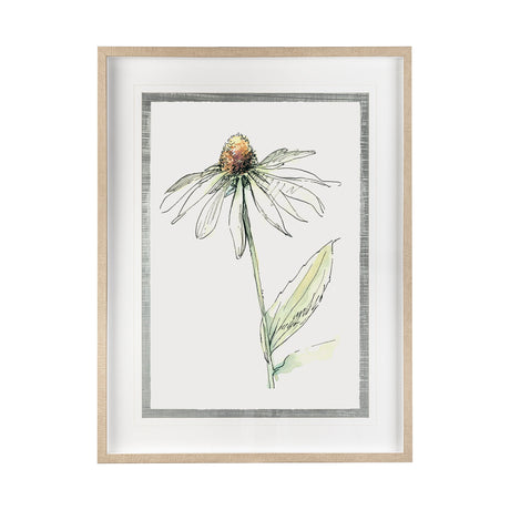 Echinacea II by Panpan Zhang a Framed Art Print Matted under Glass from Mercana - Luna Furniture