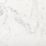 Austen 36L x 36W x 14.5H Round White Marble Top W/ Black Metal Frame Coffee Table from Mercana - Luna Furniture