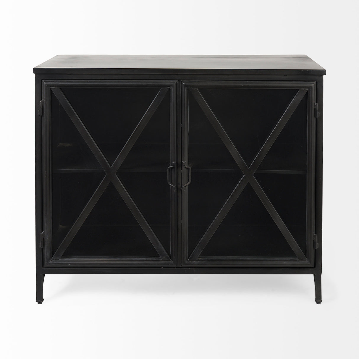 Poppy III 40L x 16W Black Metal With Glass Door Accent Cabinet from Mercana - Luna Furniture