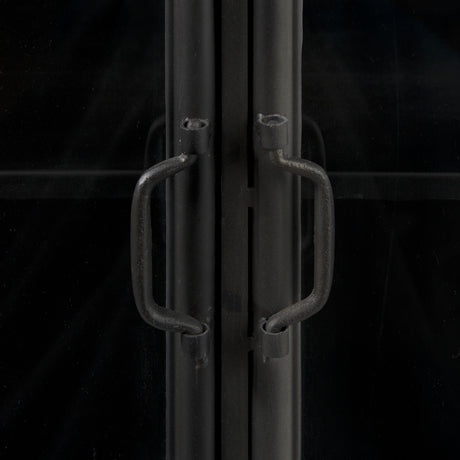 Poppy III 40L x 16W Black Metal With Glass Door Accent Cabinet from Mercana - Luna Furniture