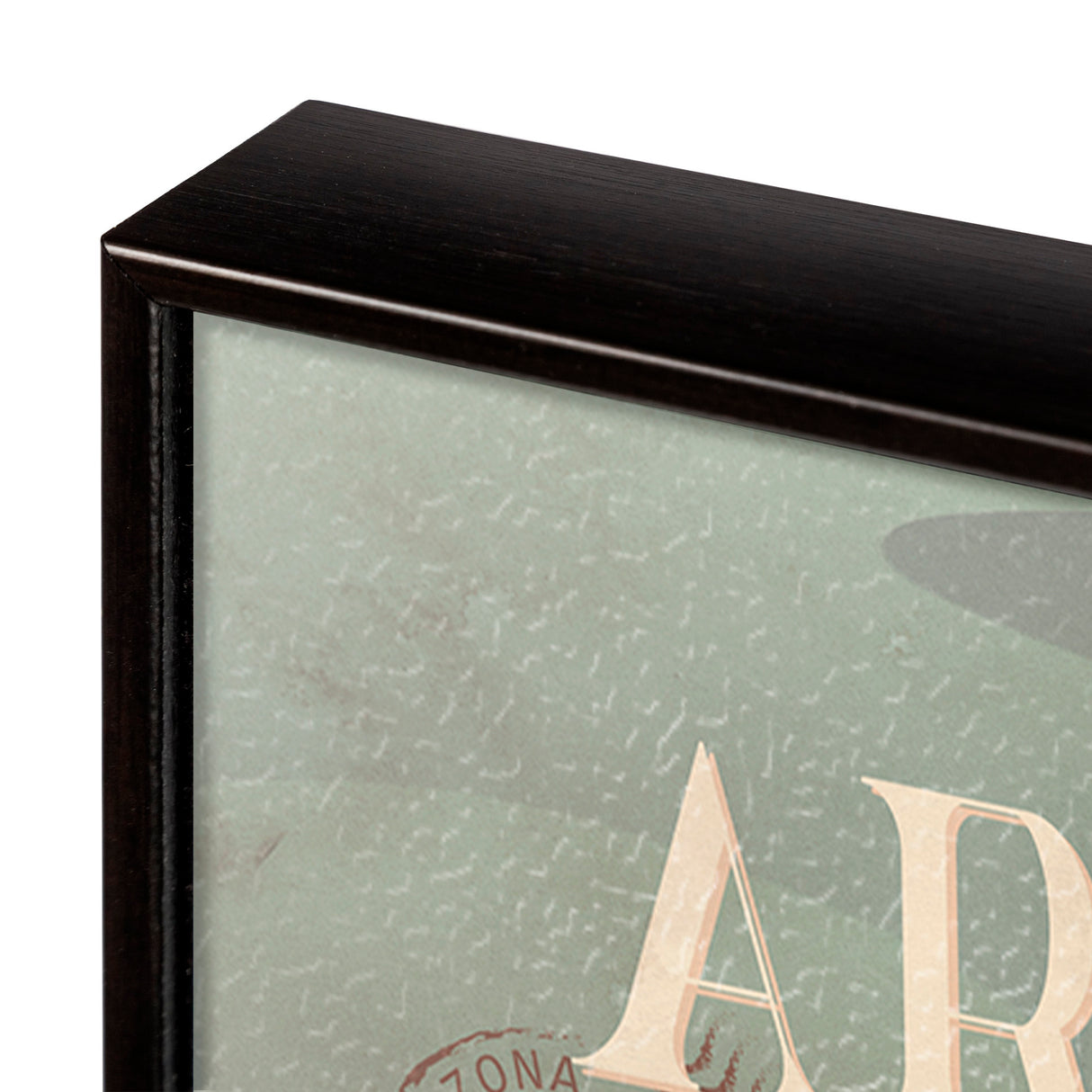 Arizona Go USA (SM) by Mercana Studio a Hand Embellished Decograph Framed Art Print from Mercana - Luna Furniture