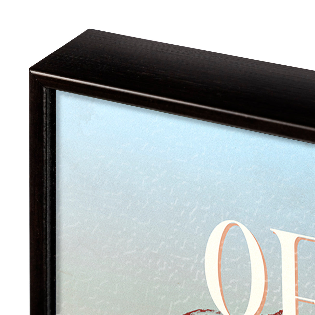 Oregon Go USA (SM) by Mercana Studio a Hand Embellished Decograph Framed Art Print from Mercana - Luna Furniture