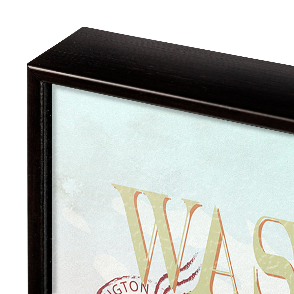 Washington Go USA (SM) by Mercana Studio a Hand Embellished Decograph Framed Art Print from Mercana - Luna Furniture