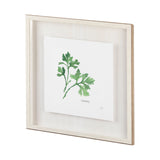 Italian Parsley v2 by Chris Paschke a Framed Art Print Matted under Glass from Mercana - Luna Furniture