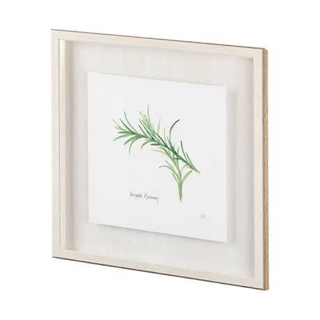 Variegated Rosemary v2 by Chris Paschke a Framed Art Print Matted under Glass from Mercana - Luna Furniture