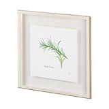 Tarragon v2 by Chris Paschke a Framed Art Print Matted under Glass from Mercana - Luna Furniture