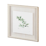 Thyme v2 by Chris Paschke a Framed Art Print Matted under Glass from Mercana - Luna Furniture