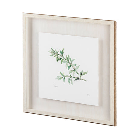 Thyme v2 by Chris Paschke a Framed Art Print Matted under Glass from Mercana - Luna Furniture