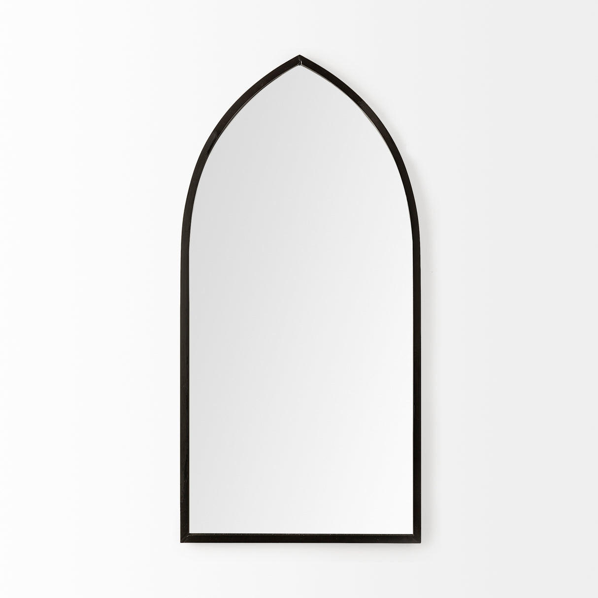 Giovanna 23.6L x 1.2W x 48.8H Black Metal Frame Pointed Arch Vanity Mirror from Mercana - Luna Furniture