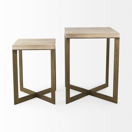 Faye (Set of 2) 19L x 19W x 26H Beige Finished Wood W/ Gold Metal Base Accent Tables from Mercana - Luna Furniture