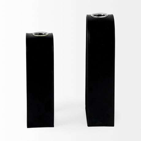 Boyer 5.1L x 3.0W x 12.0H Black Metal W/Glass Set of Two Test Tube Decorative Objects from Mercana - Luna Furniture