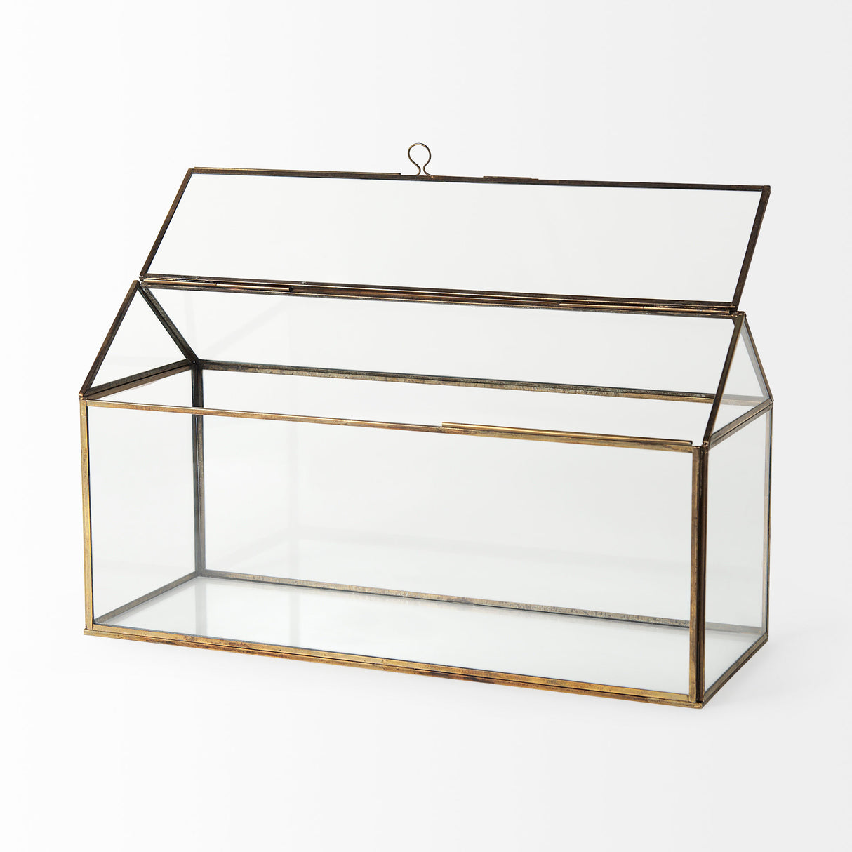 Hutt 16L x 6W x 9H Gold Glass Terrarium Box from Mercana - Luna Furniture