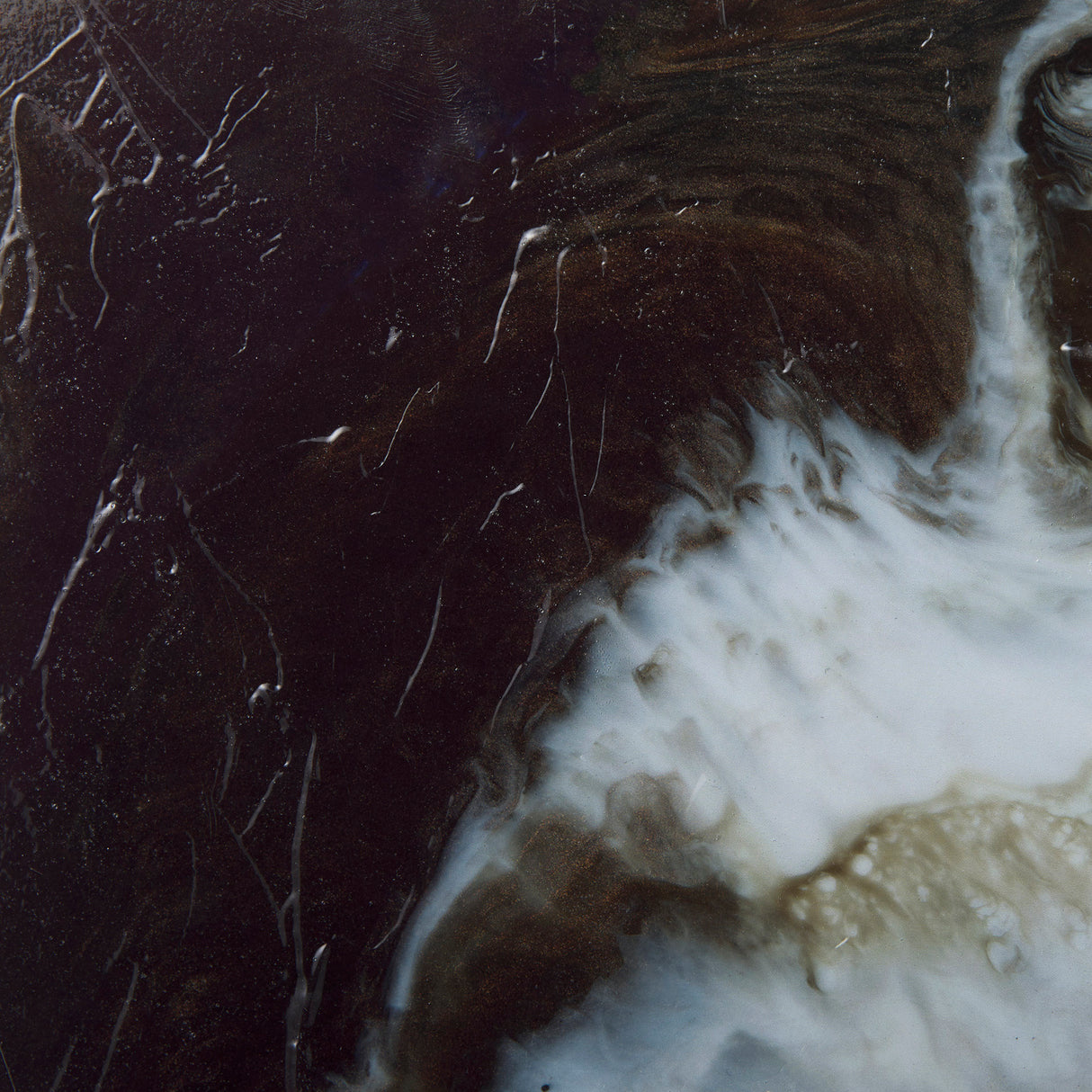 Threshold II by Mercana Studio a Hand Embellished Textured Framed Art Print from Mercana - Luna Furniture