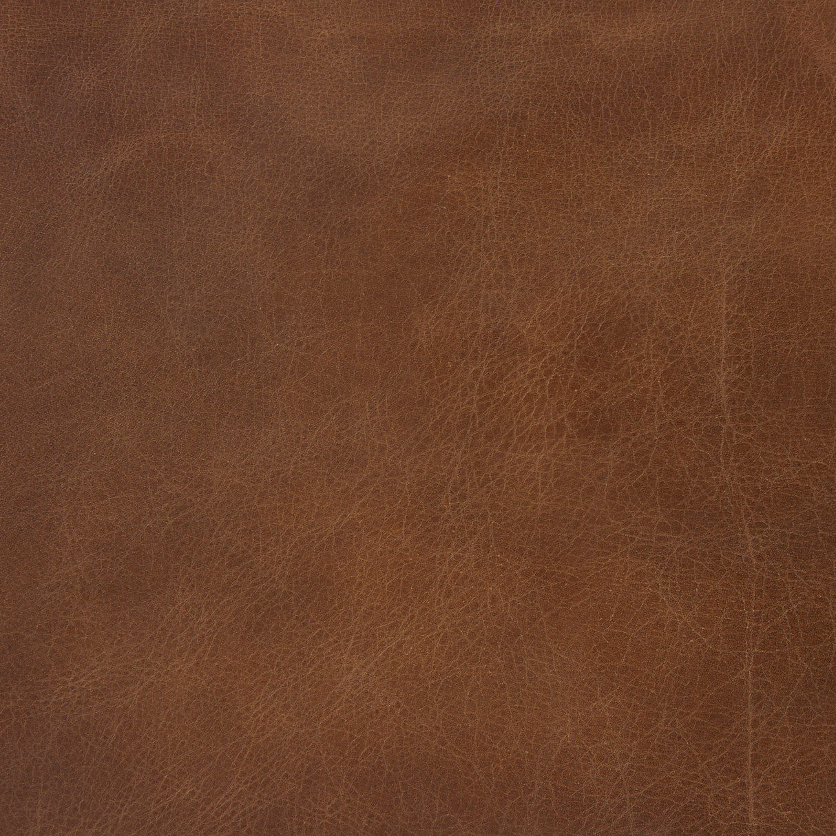 Berbick 20.5 x 24.75 x 39 Medium Brown Leather W/ Iron Frame Counter Stool from Mercana - Luna Furniture