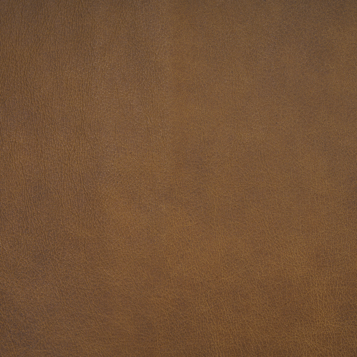 Berbick 33" Total Height Medium Brown Leather w/ Iron Frame Dining Chair from Mercana - Luna Furniture