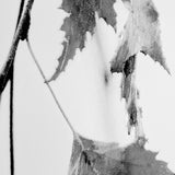Hanging by Rebecca Cozart a Hand Embellished Textured Framed Art Print Matted under Glass from Mercana - Luna Furniture