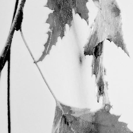 Hanging by Rebecca Cozart a Hand Embellished Textured Framed Art Print Matted under Glass from Mercana - Luna Furniture